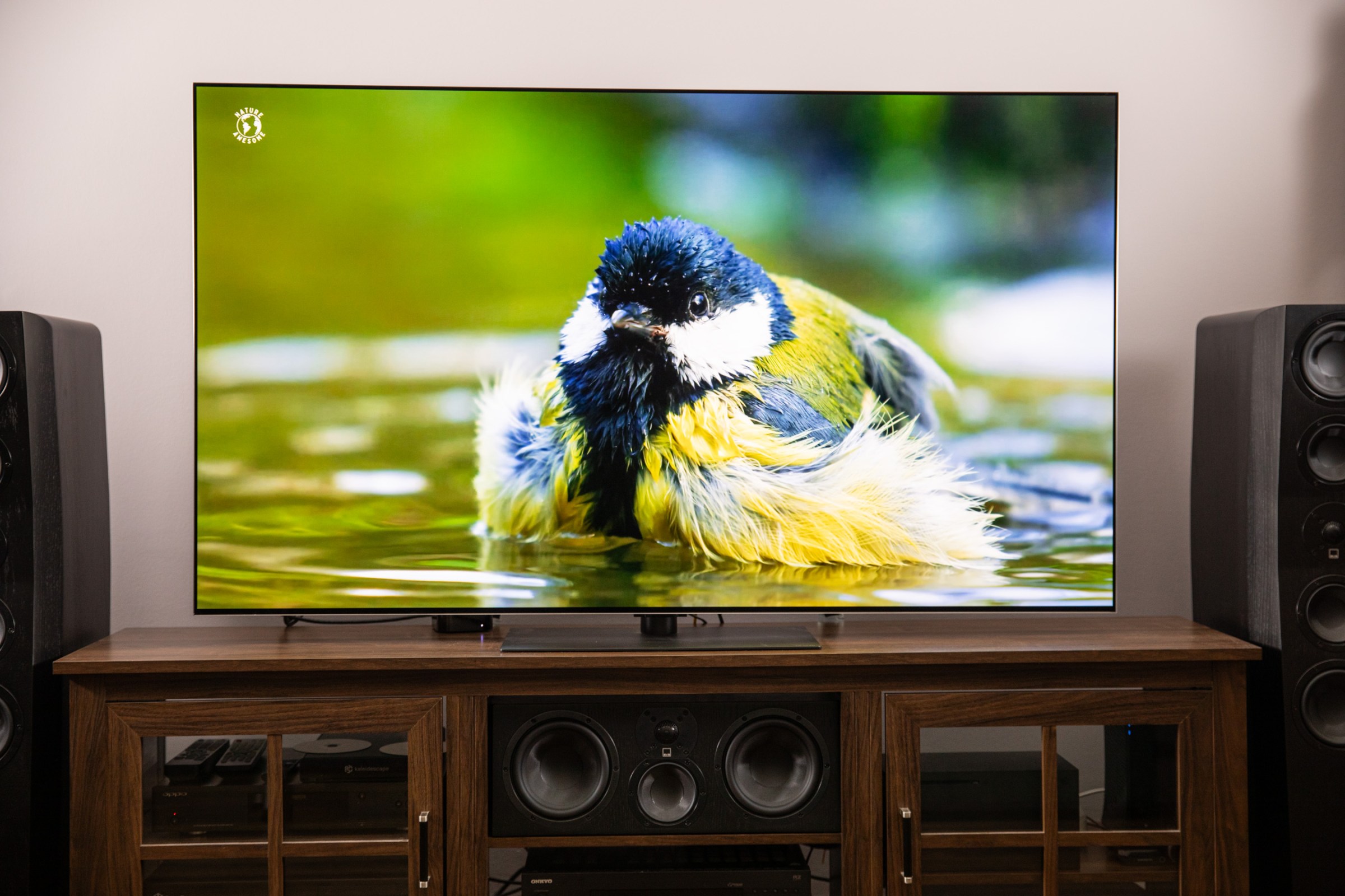 El televisor LG G5 OLED sobre un aparador de cine en casa de madera, que muestra una imagen de un pájaro en el agua.