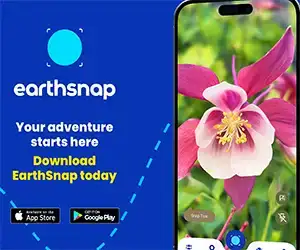 EarthSnap