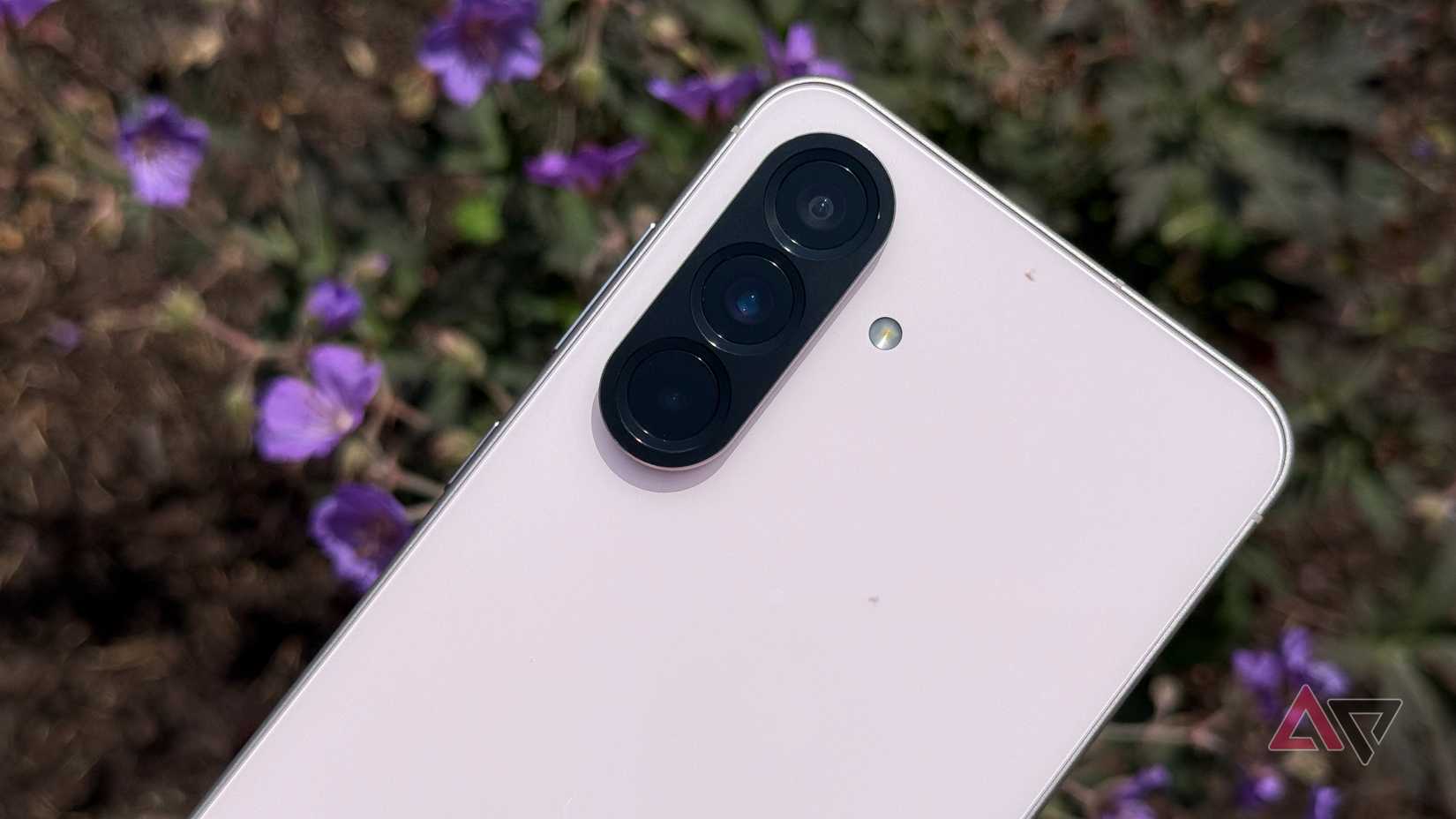 Samsung Galaxy A56 frente a flores moradas