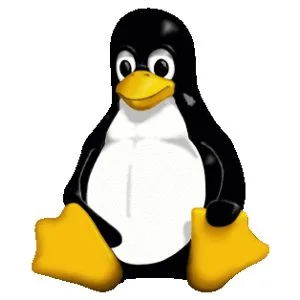 NÚCLEO DE LINUX