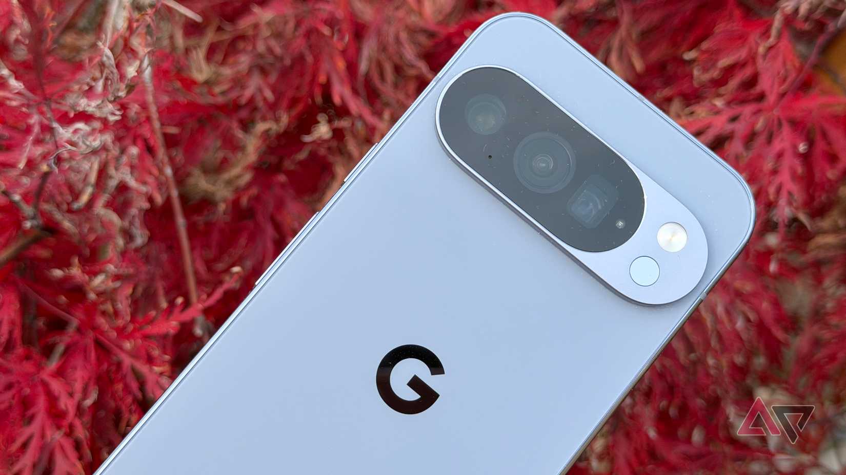 Google Pixel 10 Pro se enfrenta al arce japonés