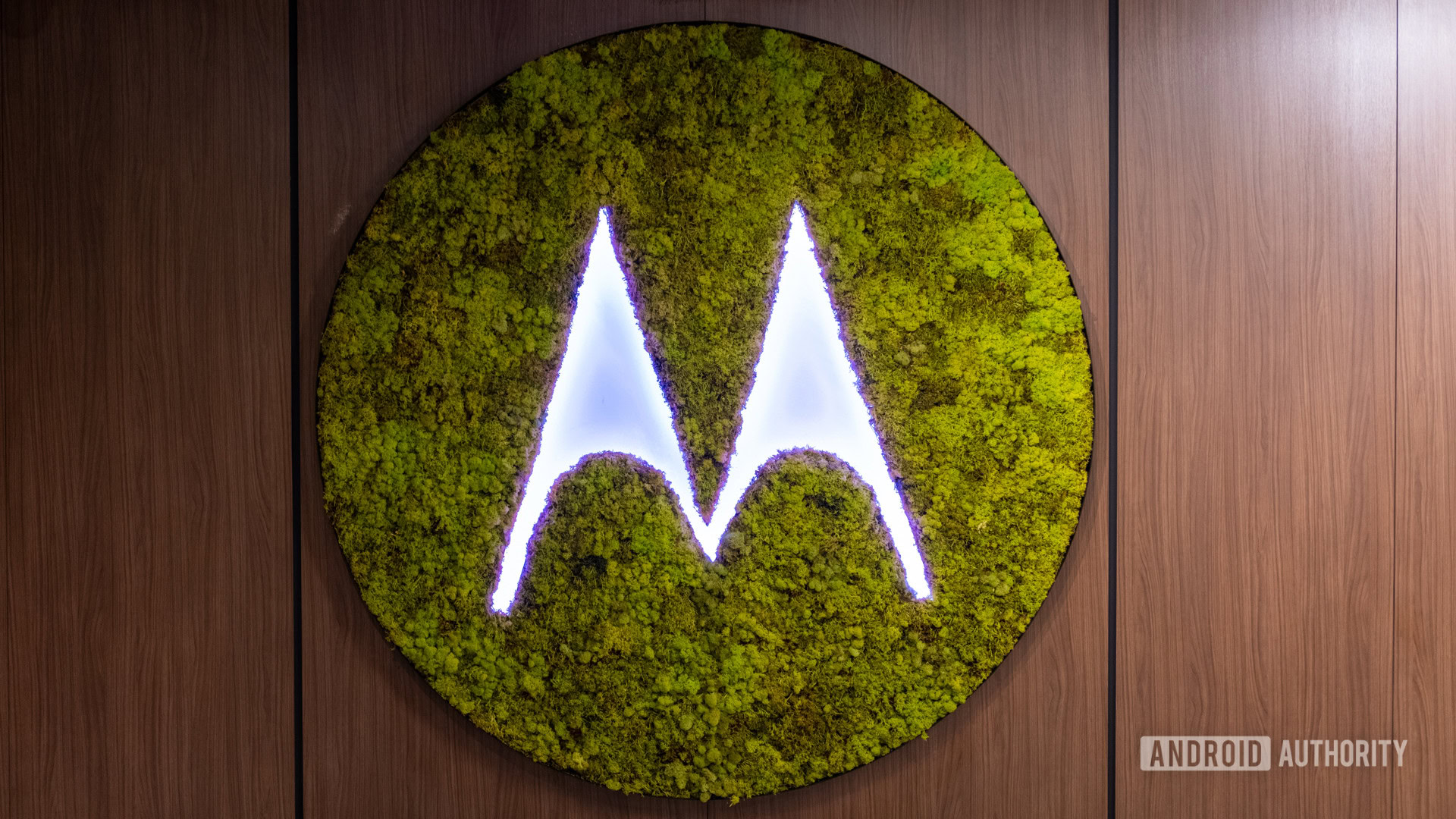 logotipo de motorola musgo logotipo de motorola musgo