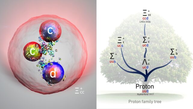 Arriba a la izquierda: esfera de color claro con bordes de color rojo brillante. En su interior están impresas tres esferas más pequeñas que contienen las letras minúsculas c, c y d. Derecha: árbol genealógico de protones de aspecto descolorido con etiquetas 