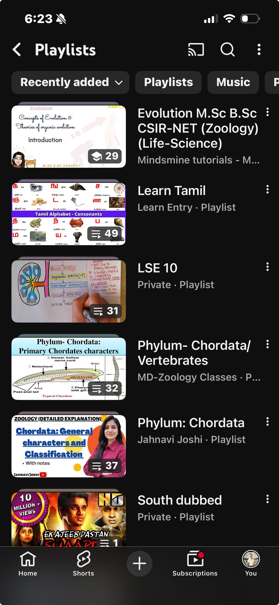 Captura de pantalla que muestra una lista de reproducción de YouTube